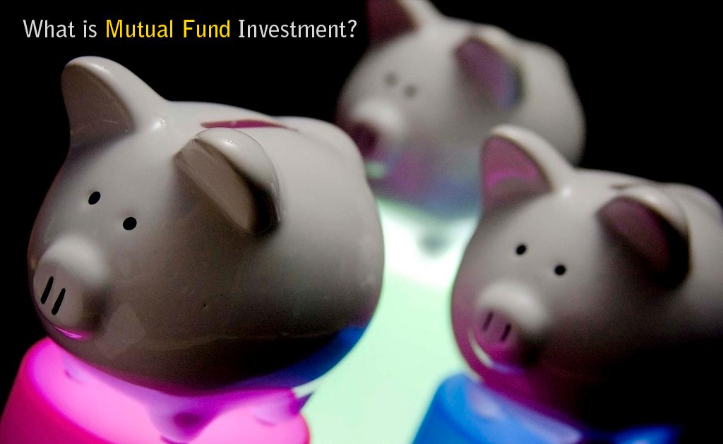 What is Mutual Fund Investment