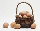 eggs_basket.jpg
