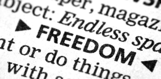 Investments and Freedom!