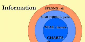 Investing and the Efficient Market Hypothesis bullshit market hypothesis