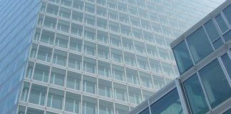 Are Institutions Important or Needed? institutions important