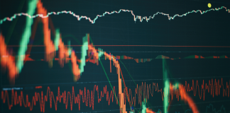 The Short Selling of Stocks