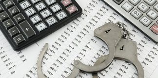 Stock Markets and Securities Fraud Securities Fraud