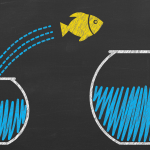 The Contrarian Investor