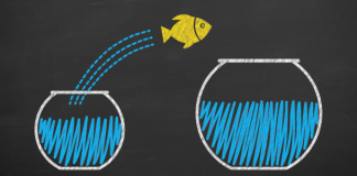 The Contrarian Investor