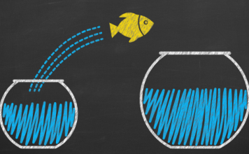 The Contrarian Investor