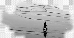 Investing and Closed-End Funds Closed-End Funds