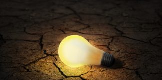 What Motivates Investors?