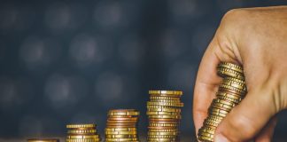 Growth vs Dividend Mutual Funds