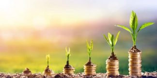 Stocks for Young Investors