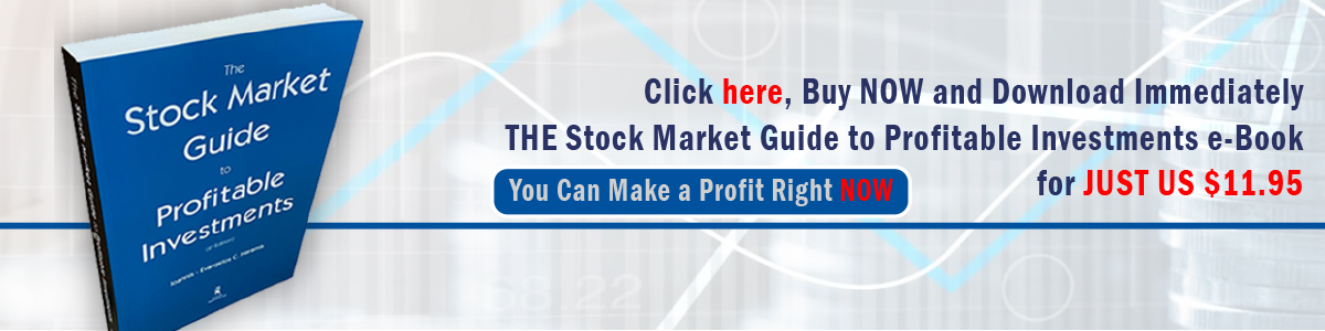 The Stock Market Guide ebook