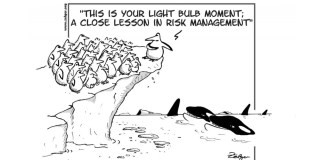 Risk and Probability